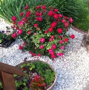 Meet your Posher, Karen